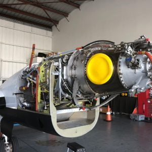 PT61_5104-300x300